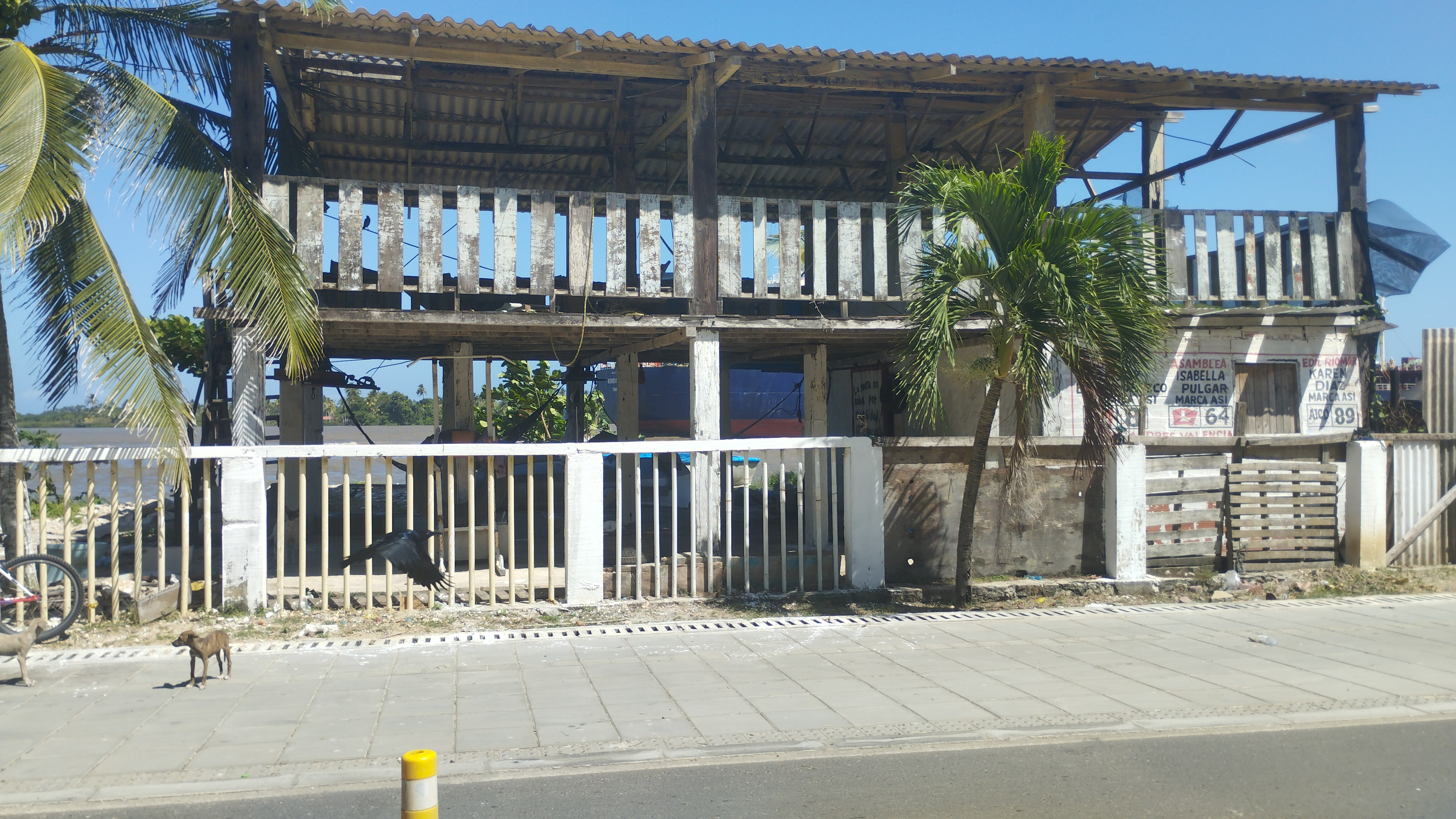 MUELLE COOPEZ