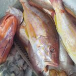 PESCADERIA DONDE JAINER 