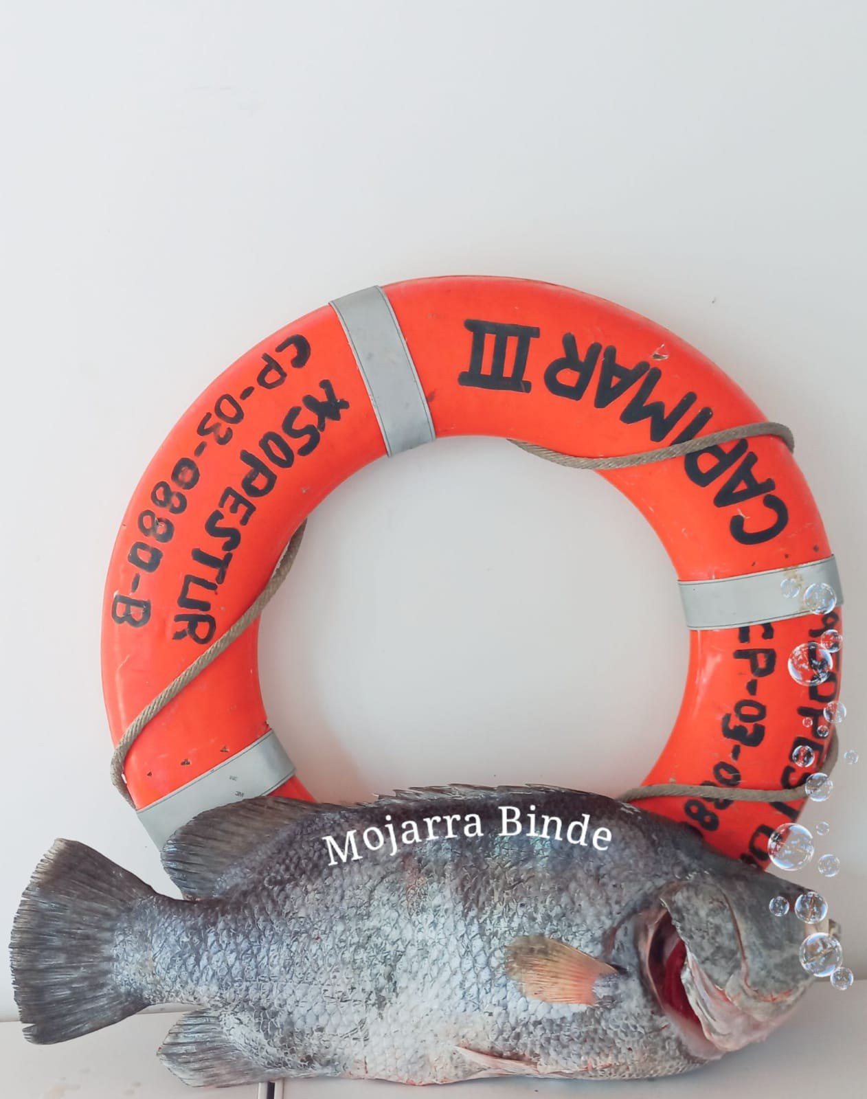 PESCADERIA LA RAYA