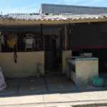  PESCADERIA EL PEZ JUNIORISTA